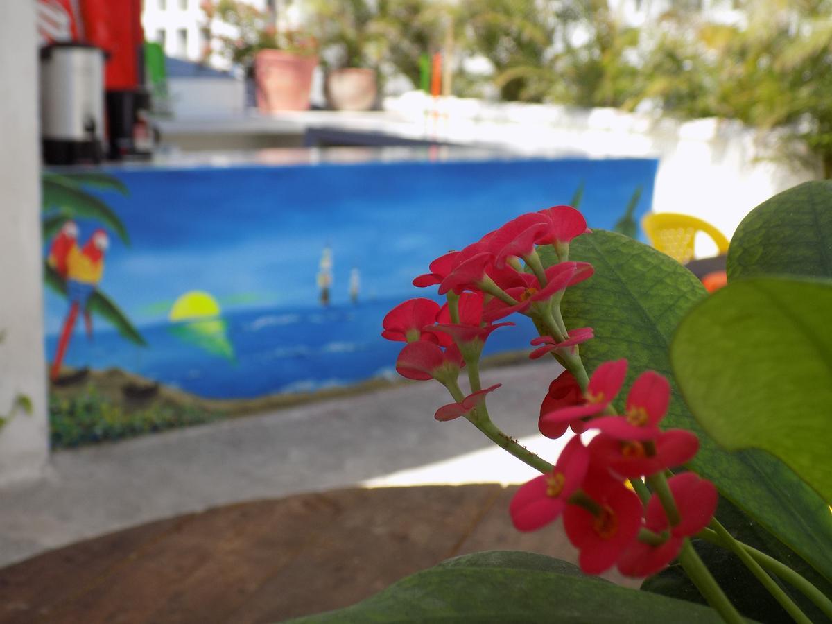 Hostal Caracoles Cartagena ภายนอก รูปภาพ