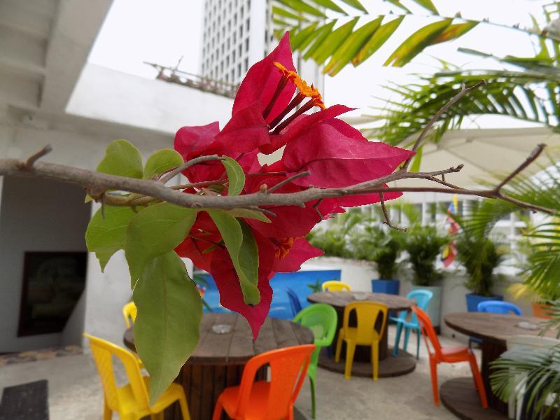Hostal Caracoles Cartagena ภายนอก รูปภาพ